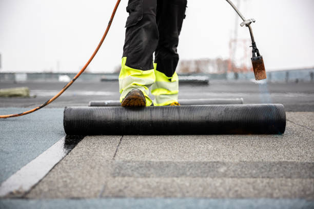 Best Asphalt Shingle Roofing  in Lovington, IL